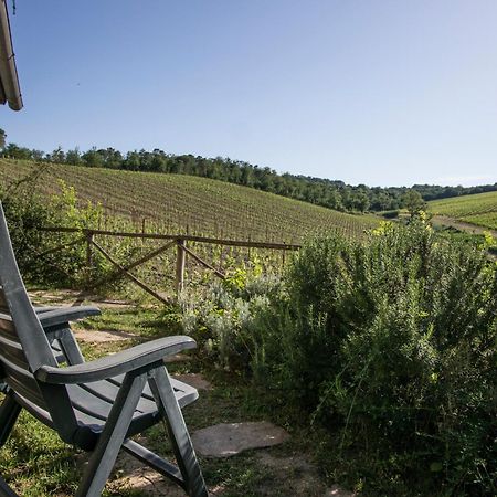 Il Fienile Del Vichiaccio Daire Mercatale Val Di Pesa Dış mekan fotoğraf